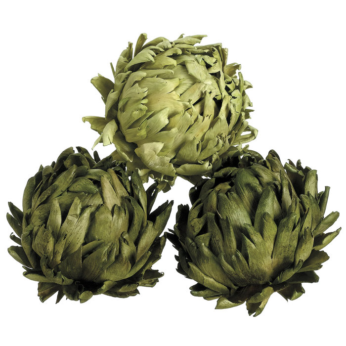 Ebern Designs Artichoke Vase Filler & Reviews Wayfair